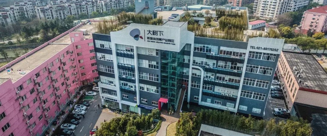 用大树下好的样子 滋养你美的年华