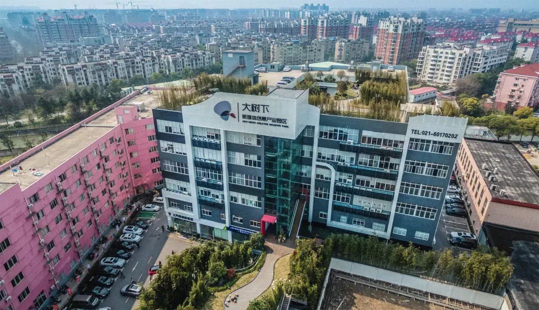 大树下标题图.jpg
